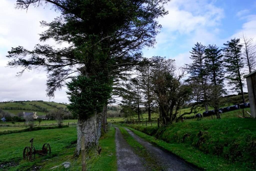 Meenadreen Cottage Donegal Town Esterno foto