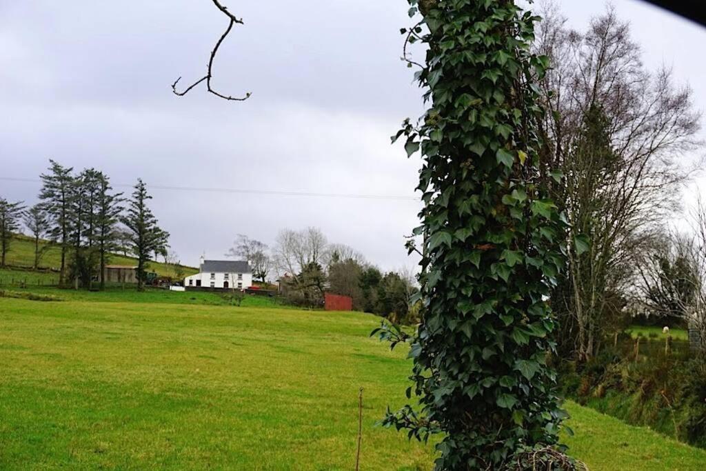 Meenadreen Cottage Donegal Town Esterno foto