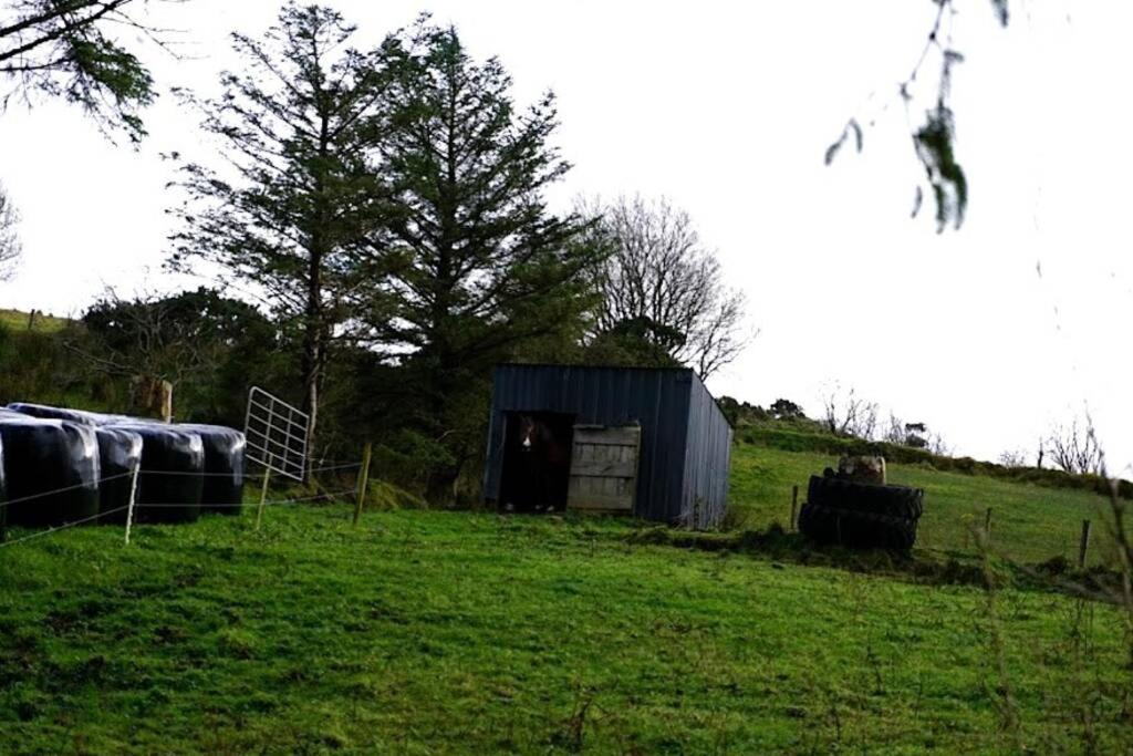 Meenadreen Cottage Donegal Town Esterno foto