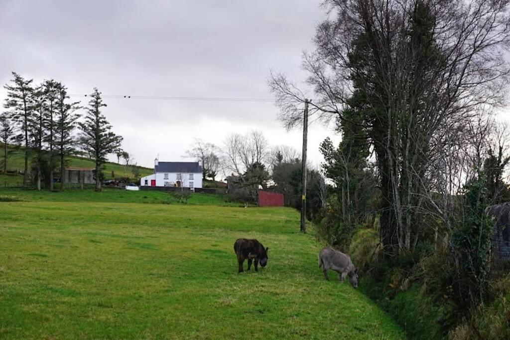 Meenadreen Cottage Donegal Town Esterno foto